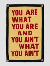 Load image into Gallery viewer, You Are What You Are Camp Flag - Banner