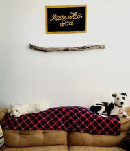 Load image into Gallery viewer, Raise Hell, Kid Camp Flag