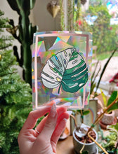 Load image into Gallery viewer, Variegated Monstera -Suncatcher Window Decal - Good Judy (.com)