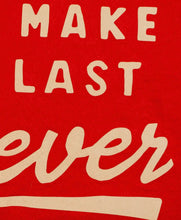 Load image into Gallery viewer, Let's Make This Last Forever Camp Flag • Blink-182 X Oxford Pennant
