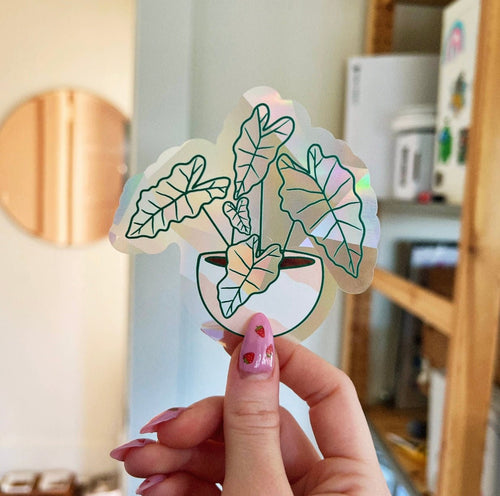 Alocasia Suncatcher Window Decal - Good Judy (.com)