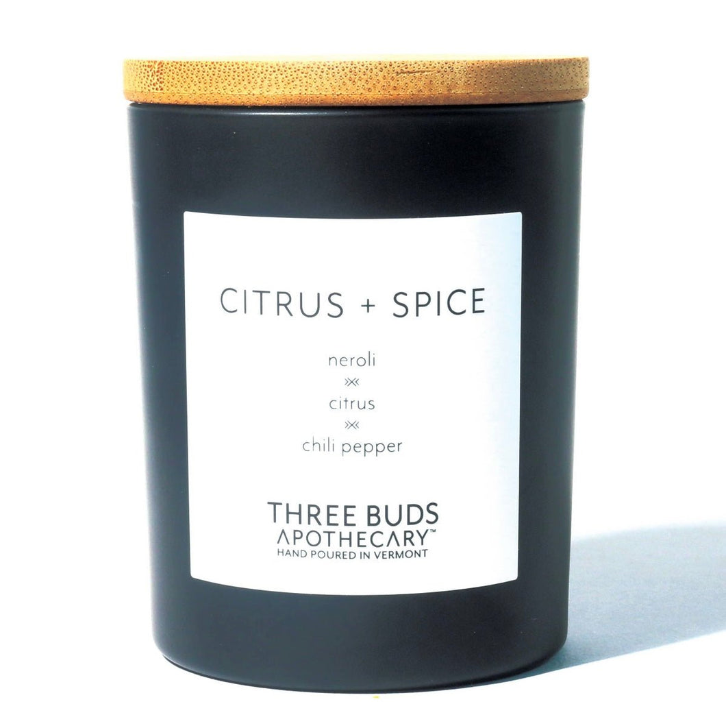 Citrus + Spice- Hand Poured Soy Candle - Good Judy (.com)