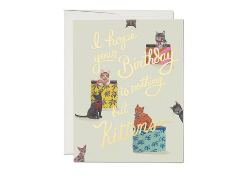 Nothing but Kittens- Birthday Card - Good Judy (.com)