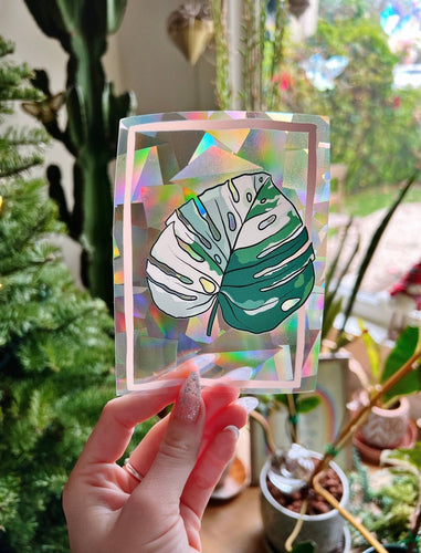 Variegated Monstera -Suncatcher Window Decal - Good Judy (.com)